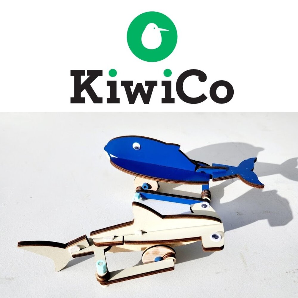KiwiCo. Kiwi Co. Automata automaton Whale Hammerhead Shark Toy Rolling Biology